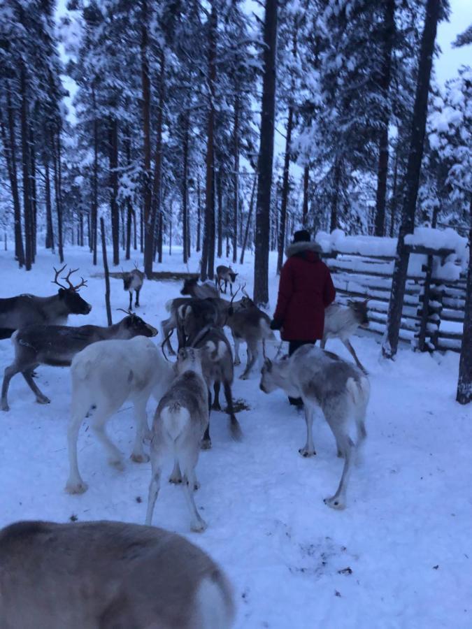 Ahkula House Hotel Lemmenjoki Екстериор снимка